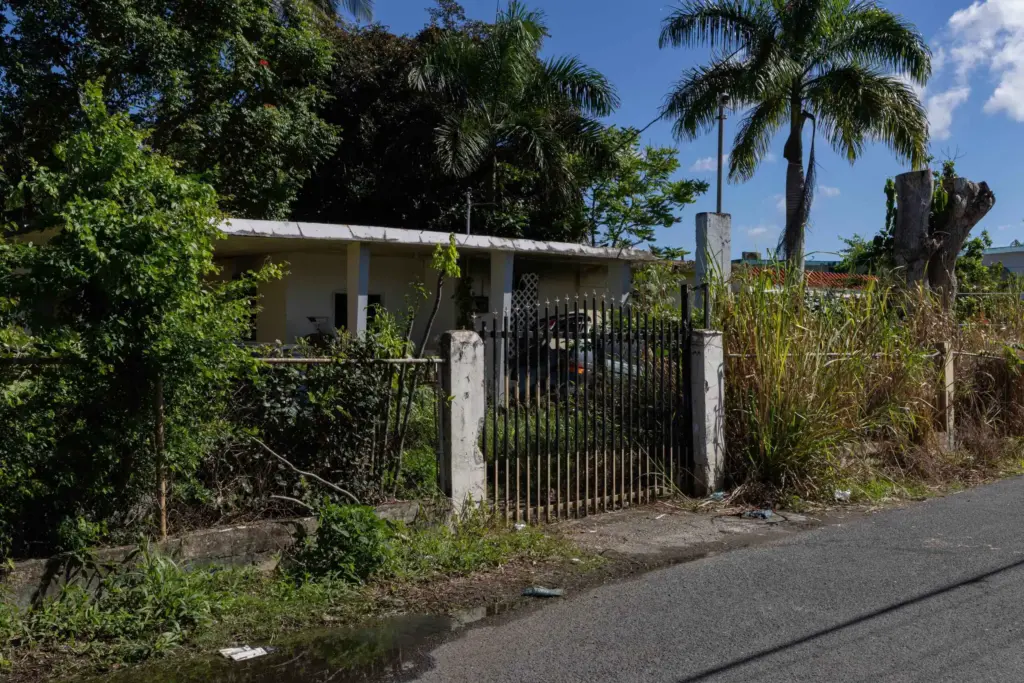 An abandoned home in Puerto surrounded by overgrown landscaping.